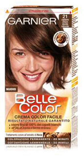 Immagine di GARNIER BELLE COLOR CASTANO DORATO N.21