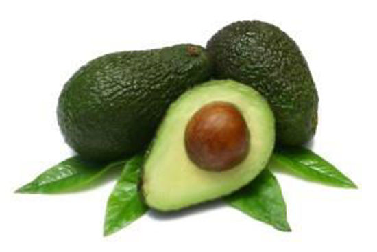 Immagine di AVOCADO