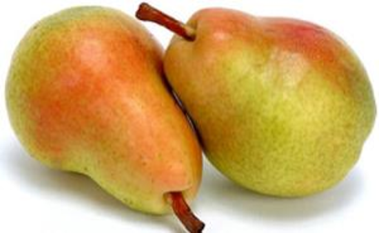 Immagine di PERE CARMEN