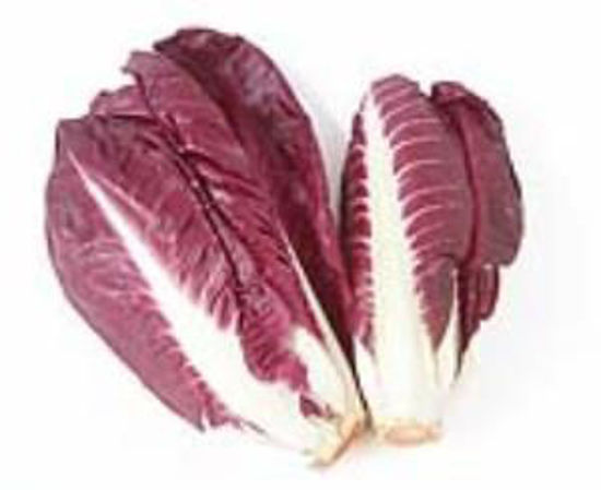Immagine di RADICCHIO TREVISANO