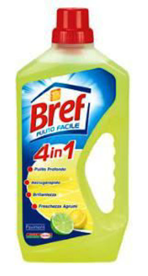Immagine di BREF SOLUTION PAVIMENTI ALOE VERA LT.1