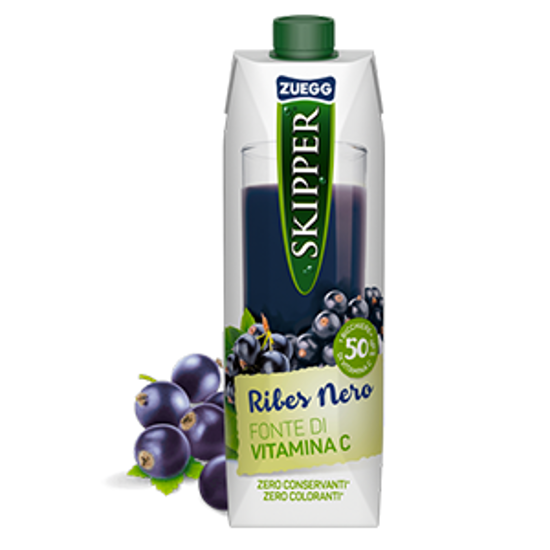 Immagine di SKIPPER SUCCO BRIK LT.1 RIBES NERO