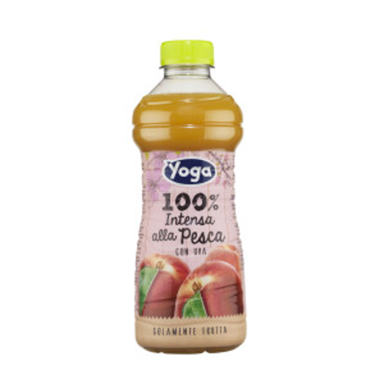 Immagine di YOGA SUCCO LT.1 PET INTENSA PESCA
