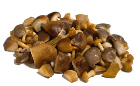 Immagine di FUNGHI MISTI GR.300