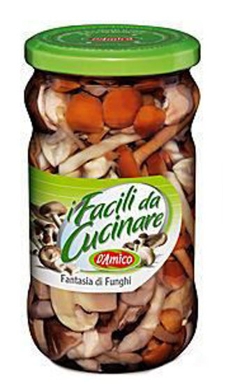 Immagine di D'AMICO FANTASIA DI FUNGHI GR.540