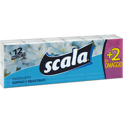 Immagine di SCALA FAZZOLETTI 10+2