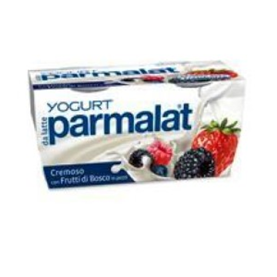 Immagine di PARMALAT YOGURT FRUTTI DI BOSCO GR.125 X 2