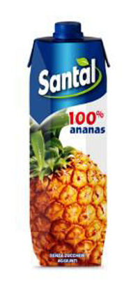 Immagine di SANTAL SUCCO 100% ANANAS LT.1