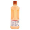 Immagine di LYSOFORM SUPERFICI DELICATE LT.1,25