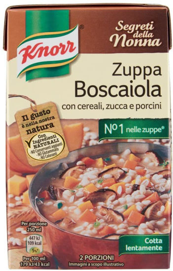 Immagine di KNORR ZUPPA BOSCAIOLA GR.500