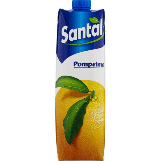 Immagine di SANTAL SUCCO POMPELMO LT.1