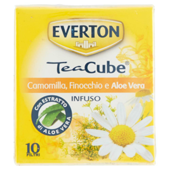 Immagine di EVERTON INFUSO ZENZERO/LIMONE/ALOE X10