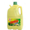 Immagine di LIMONELLO PIATTI  LT.5