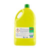 Immagine di LIMONELLO PIATTI  LT.5