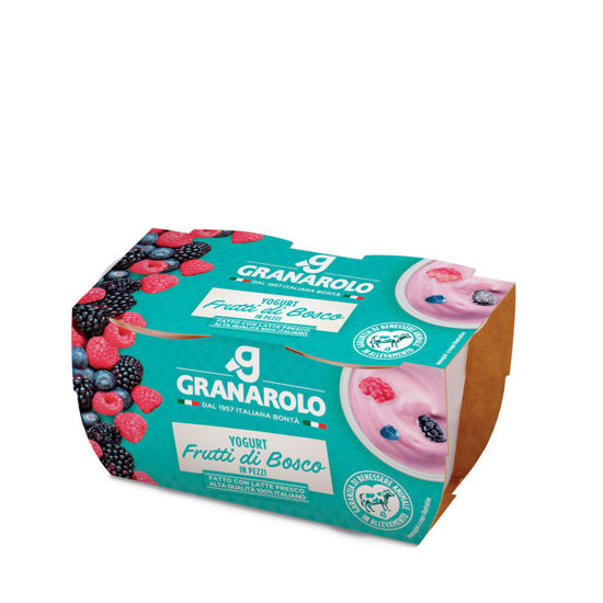 Immagine di GRANAROLO YOGURT ALTA QUALITA' FRUTTI DI BOSCO  125X2