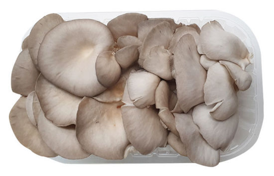 Immagine di FUNGHI CARDONCELLI GR.250