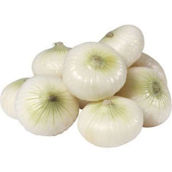 Immagine di CIPOLLA FRESCA DI MARGHERITA