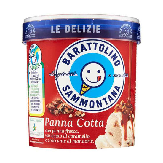 Immagine di SAMMONTANA BARATTOLINO LE DELIZIE GR 500 PANNA COTTA