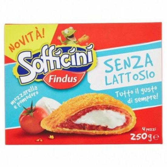 Immagine di FINDUS SOFFICINI POMODORO E MOZZARELLA SENZA LATTOSIO GR.250