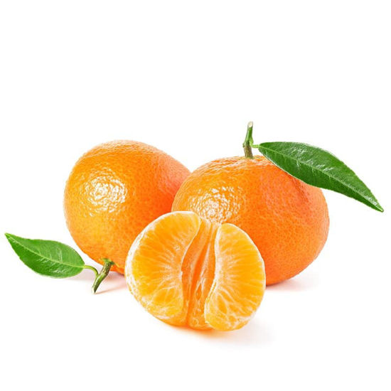 Immagine di CLEMENTINI