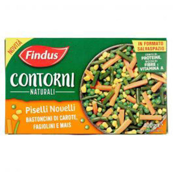 Immagine di FINDUS CONTORNI PISEL/CAR/FAG. GR.400