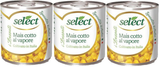 Immagine di SELECT COTTI A VAPORE MAIS GR.160X3