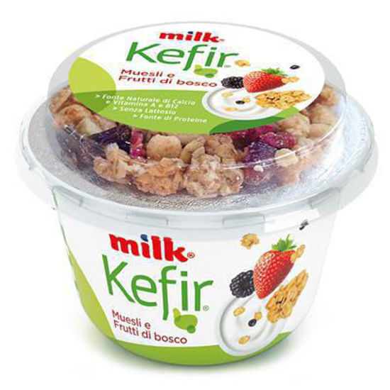 Immagine di MILK KEFIR MIX CROCCANTE BOSCO GR.160