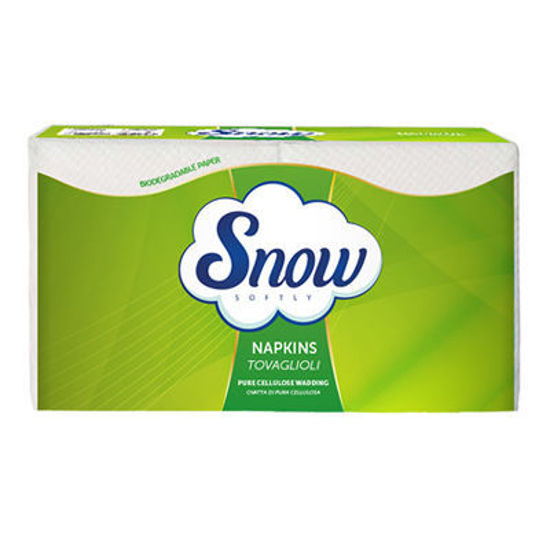Immagine di SNOW TOVAGLIOLI MONOVELO X150