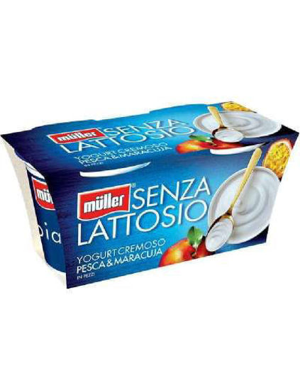 Immagine di MULLER YOG. S/LATT. PESCA GR.125X2