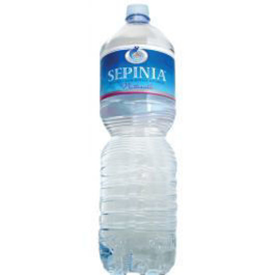 Immagine di ACQUA SEPINIA  NATURALE LT.2