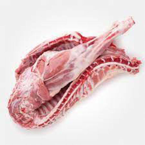 Immagine di AGNELLO