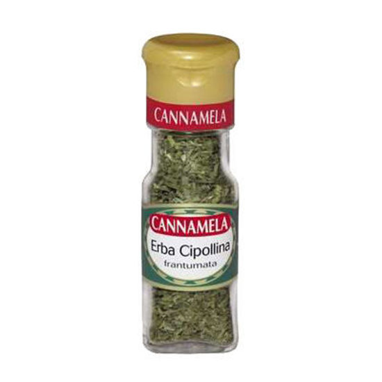 Immagine di CANNAMELA ERBA CIPOLLINA GR.4
