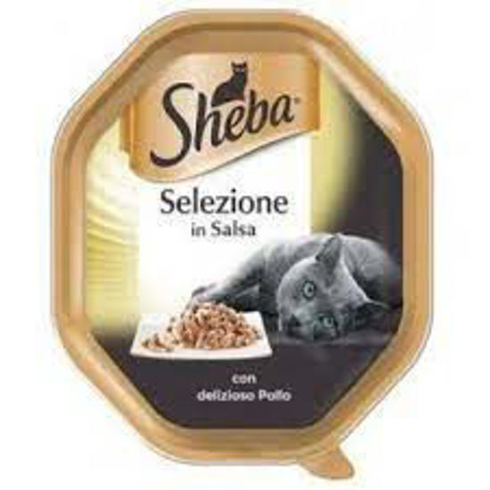 Immagine di SHEBA GATTO POLLO GR.85