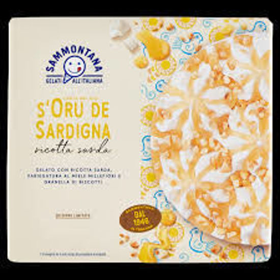 Immagine di SAMMONTANA COPPA ORO SARDIGNA X4