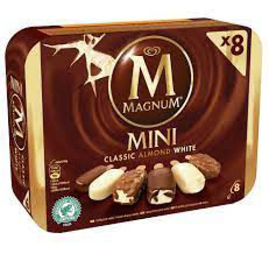 Immagine di ALGIDA MAGNUM MINI CAW X8