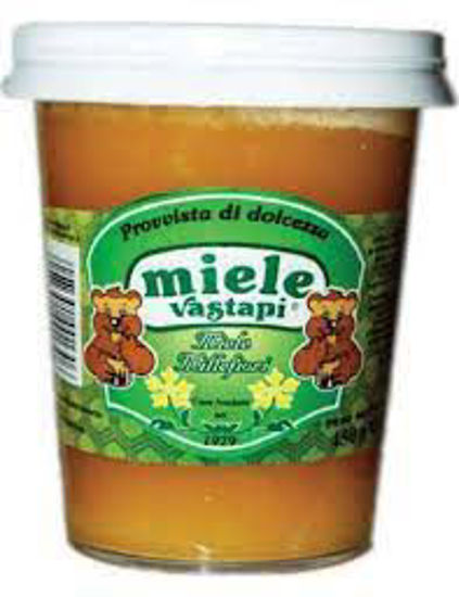 Immagine di VASTAPI MIELE GREZZO VASO GR.500
