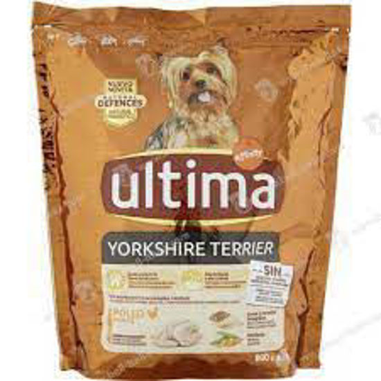 Immagine di ULTIMA DOG SPECIAL  YORKSHIRE GR.800