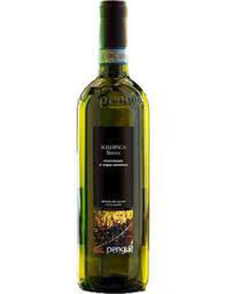 Immagine di PENGUE VINO SOLOPACA BIANCO CL.75