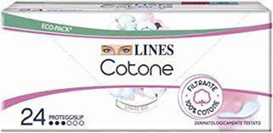 Immagine di LINES ASSORBENTI NATURA SALVASLIP PZ.22+2