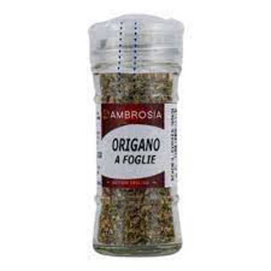 Immagine di AMBROSIA ORIGANO FOGLIE VASO GR.25