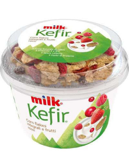 Immagine di MILK KEFIR MIX BIANCO/C.FLAKE GR.160