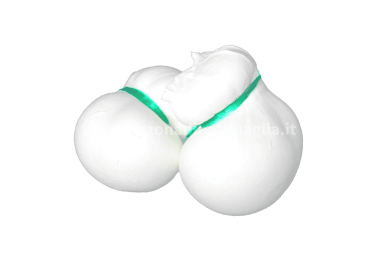 Immagine di ASSELITI SCAMORZA FRESCA