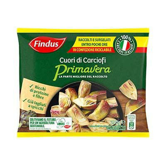 Immagine di FINDUS CUORI DI CARCIOFI GR.250