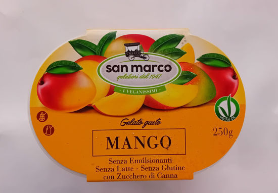 Immagine di SAN MARCO VEGAN MANGO GR.250