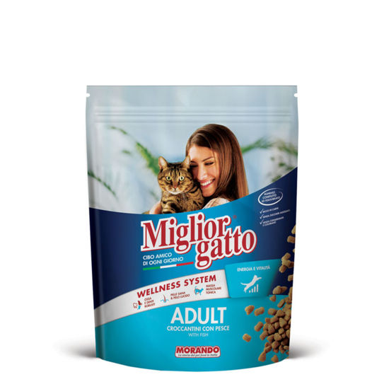 Immagine di MIGLIOR GATTO CROCC. PESCE GR.400