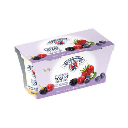 Immagine di VIPITENO YOG. FRUTTI BOSCO GR.125X2