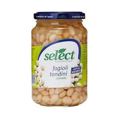 Immagine di SELECT TONDINI LESSATI V/ V GR.360