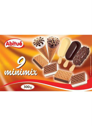 Immagine di ABITUE MINIMIX GELATI ASSORTITI  X9