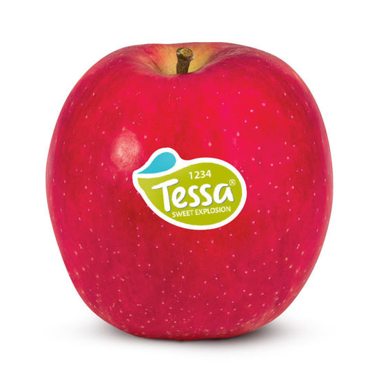 Immagine di MELA TESSA