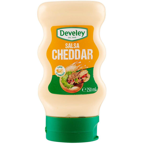 Immagine di DEVELEY SALSA CHEDDAR ML.250